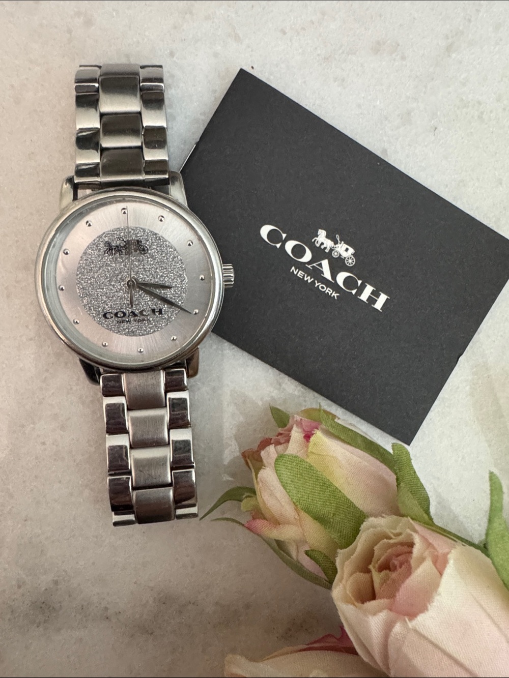 Coach Grand Silver Stainless Steel Women's Watch with Glitter Dial